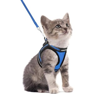 rabbitgoo Cat Harness and Leash Set , Adjustable Soft Kittens Vest with Reflective Strip for Cats, Comfortable Outdoor Vest, Blue, S - 1 of 1