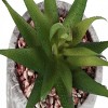 GlasFlength Artificial Plants Small Fake Plants Artificial Grass Plants Faux Plants for Indoor Home Table Decoration, Green, 5"*5"*7" - 4 of 4