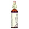 Bach Original Flower Remedies, Impatiens, 0.7 fl oz (20 ml) - 3 of 3