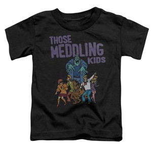 Toddler Boys' Scooby Doo The Death Meddle T-Shirt - 1 of 4