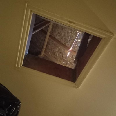 Guest review image 1 of 1, zoom in