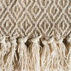 50"x60" Double Diamond Throw Blanket - Design Imports - 4 of 4