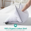 Aghana Digitals Medium Firm Down/Poly Pillows Set of 2, King Size, Organic Cotton Cover - 3 of 4