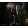 The Wine Savant Diamond Studded Wine Glasses, Perfect Addition to Home Bar, Unique Style & Decor - 2 pk - 2 of 4
