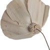 Vickerman 4" Natural Botanicals Dried Sola Flower on Wire Stem - 4 of 4