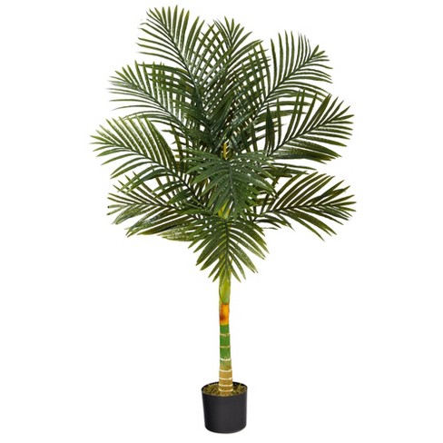 Nearly Natural 5-ft Single Stalk Golden Cane Artificial Palm Tree - image 1 of 4