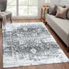 Machine Washable Area Rug Low Pile Vintage Ultra-Thin Non Slip Non Shedding Rugs Stain Resistant Foldable Indoor Carpet for Living Room Bedroom - 2 of 4