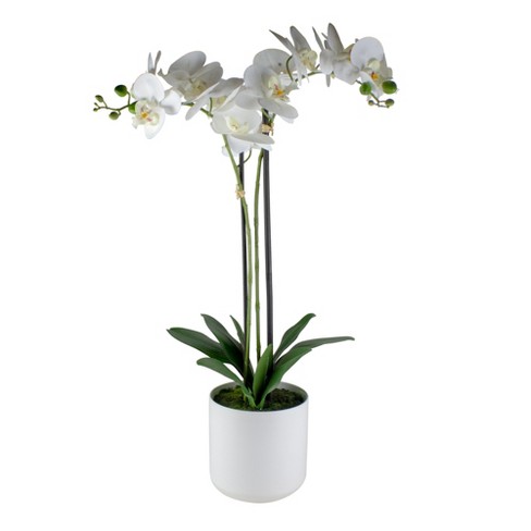 Raz Imports 29 White Blossom Artificial Potted Orchid Plant Target