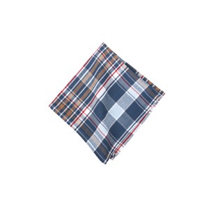 C&F Home Lawson Lake Plaid Napkin Set of 6 - 1 of 4