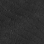 black bark