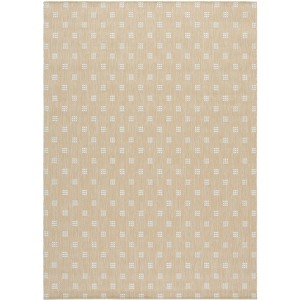 Terrace TER806 Power Loomed UV Resistant Stain Resistant Non-Shedding Indoor/Outdoor Rugs - Safavieh - 1 of 4