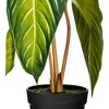 Vickerman Artificial Alocasia Potted Plant - 2 of 3