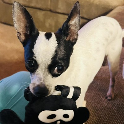 Guest review image 1 of 1, zoom in