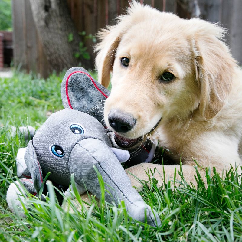 KONG Cozie Ultra Ella Elephant Dog Toy - M, 4 of 5