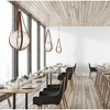 Eurofase Lighting Rosemount 1 - Light Pendant in  Chrome - 4 of 4