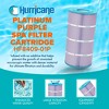 Hurricane Filters HF8409-01P Platinum Purple Pool Filter Cartridge Replacement for PA90, Unicel C-8409, Filbur FC-1292 - 2 of 4