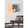 Trends International The Comedy Wildlife Photography Awards: Antonio Medina - Ashamed Framed Wall Poster Prints - 2 of 4