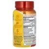 Isatori Energize, The All-Day Energy Pill , 60 Tablets - 3 of 4