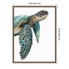 Amanti Art 18"x24" Great Sea Turtle by Jodi Hatfield Framed Canvas Wall Art Print - 4 of 4