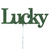 Saint Patricks 9.75 In Irish Cutout Picks Plant Stick Lucky Decorative Garden Stakes - 4 of 4