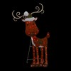 Northlight Lighted 2D Chenille Reindeer Outdoor Christmas Decoration - 32" - Red - Warm White - 3 of 4