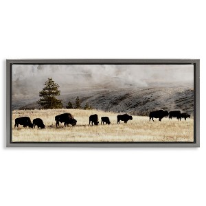 Stupell Industries Grazing Bison Foggy Countryside, 25" x 11" - 1 of 4