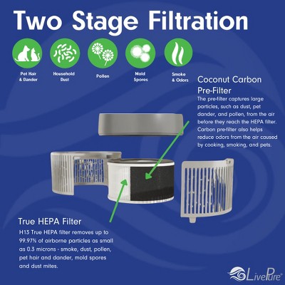 Gray HEPA Air Purifier and Heater with Remote Control