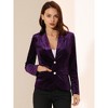 INSPIRE CHIC Women's Notched Lapel Vintage Office Button Front Velvet Blazer - 2 of 4