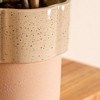 Live 4" Zenzi ZZ Potted Houseplant - 3 of 4