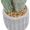 Acekool 42" Saguaro Cactus - Lifelike Indoor/Outdoor Desert Decor - 4 of 4
