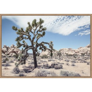 Amanti Art 33"x23" Yucca by Shot by Clint Framed Canvas Wall Art - 1 of 4