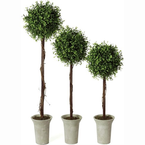 Sullivans Artificial Set Of 3 Boxwood Topiary Tree 22h, 25h & 30h Green  : Target