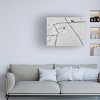 Trademark Fine Art Olari Ionut  winter Canvas Wall Art - 2 of 4