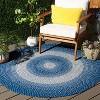 Braided BRD311 Machine Washable UV & Stain Resistant Non-Shedding Hand Woven Indoor/Outdoor Rugs - Safavieh - 2 of 4