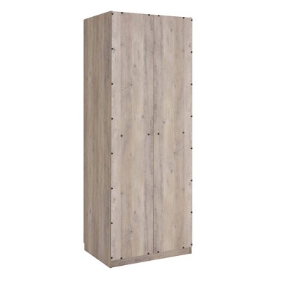 Rustic Gray 2-Door Hinged Wardrobe Closet with Metal Handles