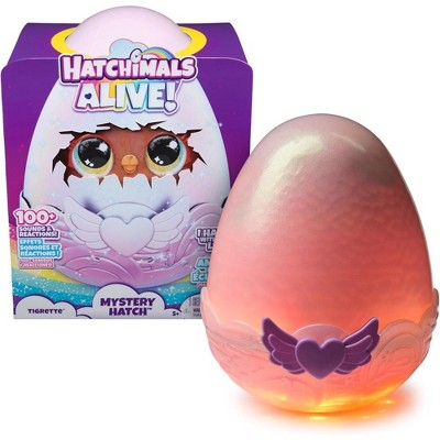 Hatchimals mystery target clearance
