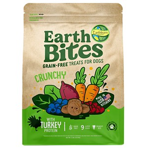 Earthborn Holistic EarthBars Turkey & Pumpkin Grain-Free Crunchy Dog Treats - 2 lbs - 1 of 1