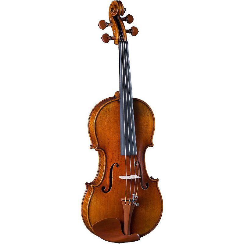 Cremona SV-800 Series Violin Outfit 4/4 Size, 1 of 4