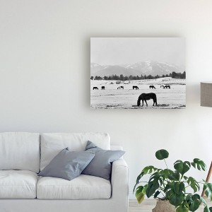 18" x 24" Black Horse In Winters Mountains Wyoming by Monte Nagler - Trademark Fine Art: Canvas Wall Art, Unframed Digital Landscape - 1 of 4