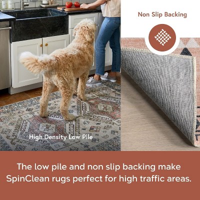 Evalyn Pink Southwestern Washable Synthetic Area Rug 3' x 5'