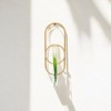 Cheung's Sephra Metal Loop Glass Wall Planter - Gold - 2 of 4