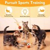 AEELLEEA 3 Pack Interactive Cat Ball Toys: Bouncy Elastic Balls with Natural Feathers for Indoor Cats & Kittens - 2 of 4