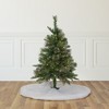 Northlight 3' Pre-Lit Kingston Cashmere Pine Full Artificial Christmas Tree, Clear Lights - 2 of 4
