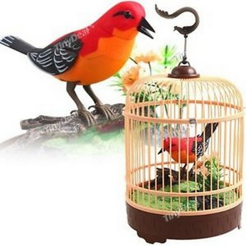 Talking parrot toy target online