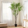 Gulches 71 Inch Artificial Disk Leaf Tree Plants, Pre - Potted for Hassle - Free Setup, Ideal for Indoor Gardens, Living Rooms Bedrooms - 3 of 4