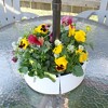 AuldHome Design Umbrella Planter for Patio Table w/ Umbrella Hole Enamelware Half Planter Pots - 2 of 4