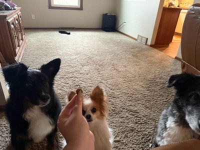 Guest review image 1 of 1, zoom in