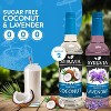 Syruvia Sugar Free Coffee Flavors Variety Pack: Coconut & Lavender 25.4 fl oz Syrup - 3 of 4