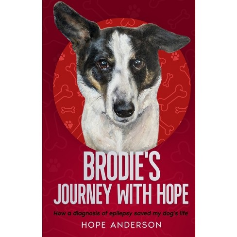 Brodie s Journey With Hope By Hope Anderson paperback Target