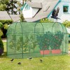 Aoodor Crop Cage Plant Protection Tent, Greenhouse Fruit Cage Netting Cover for Plants/Herbs/Fruit Garden, Yard, Lawn with Zipper - 2 of 4